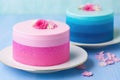 two identical cakes, one in pink icing, one in blue Royalty Free Stock Photo