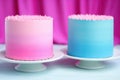 two identical cakes, one in pink icing, one in blue Royalty Free Stock Photo