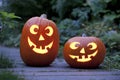 Two Illuminated Halloween pumkins in the garden