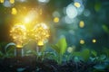Two illuminated light bulbs with glowing network patterns emerging from soil and plants Royalty Free Stock Photo