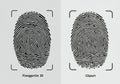 Two images of digital fingerprints are shown side by side on a light gray background, Royalty Free Stock Photo