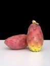 Two Indian aka Barbary figs, Opuntia ficus-indica on white with black background. Aka Prickly pear, Tuna fruit.