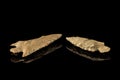 Two Indian arrowheads and black background Royalty Free Stock Photo