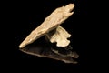 Two Indian arrowheads and black background Royalty Free Stock Photo