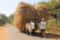 Two Indian village man on bullock cart Royalty Free Stock Photo