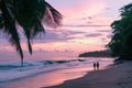 Two individuals walking along the sandy beach as the sun sets in the background, A soft pink sunset at a secluded beach spot for Royalty Free Stock Photo