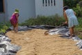 two Indonesian women are drying newly harvested rice seeds Royalty Free Stock Photo