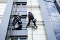 Team of industrial climbers at work, they are washing building f Royalty Free Stock Photo