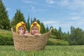 Two infant babies in Easter chicken costumes inside the basket on green grass Royalty Free Stock Photo