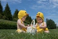 Two infant babies in Easter chicken costumes playing with eggs