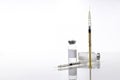 Two insulin syringes and glass tubes of medicaments on the glass table.Empty space Royalty Free Stock Photo