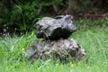 Two interesting large wet stones stacked one on top of other surrounded with high uncut grass and small flowers in local garden Royalty Free Stock Photo