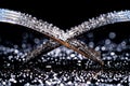 Two interlocking forks with drops of water reflecting off a glossy black surface. Silver cutlery close up. Silverware Royalty Free Stock Photo