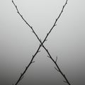 Two intersecting bare branches form an \