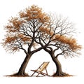 Two intertwined trees with a single chair beneath them Royalty Free Stock Photo