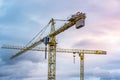 Two isolated cranes with the background of a wintry sky Royalty Free Stock Photo