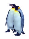 Two isolated emperor penguins with clipping path Royalty Free Stock Photo