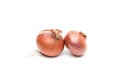Two isolated onions close up on white background Royalty Free Stock Photo