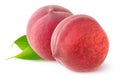 Two isolated peaches Royalty Free Stock Photo