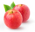 Two isolated Pink Lady apples Royalty Free Stock Photo