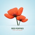 Two isolated poppy. Red flowers Royalty Free Stock Photo