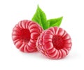 Two isolated raspberry fruits with leaf