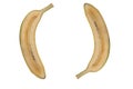 Two isolated sliced bananas close to each other