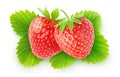 Two isolated strawberries on leaves Royalty Free Stock Photo