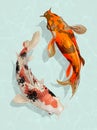 Two Japanese Koi fish swimming Royalty Free Stock Photo
