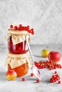 Two jars of fruit homemade marmalade. Glass jars with different kinds of jam and berries. Plum and red currant jam on light Royalty Free Stock Photo