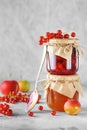 Two jars of fruit homemade marmalade. Glass jars with different kinds of jam and berries. Plum and red currant jam on light Royalty Free Stock Photo