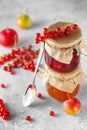 Two jars of fruit homemade marmalade. Glass jars with different kinds of jam and berries. Plum and red currant jam on light Royalty Free Stock Photo