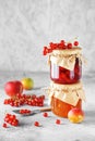 Two jars of fruit homemade marmalade. Glass jars with different kinds of jam and berries. Plum and red currant jam on light Royalty Free Stock Photo