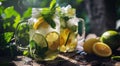 two jars with lemon, lime and mint iced tea Royalty Free Stock Photo