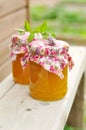 Two Jars of Pumpkin Jam on a Bench, copy space for your text Royalty Free Stock Photo