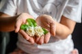 White jasmine and green leaves placed on a woman`s hand on a black background Royalty Free Stock Photo