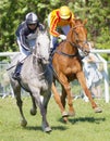 Two jockeys side by side riding gallop arabian race horses Royalty Free Stock Photo