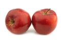 Two jonagold apples Royalty Free Stock Photo