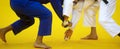 Two judo fighters in white and blue uniform. Professional sport concept