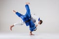 The two judokas fighters fighting men Royalty Free Stock Photo