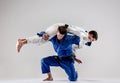The two judokas fighters fighting men Royalty Free Stock Photo