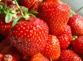 Strawberry Royalty Free Stock Photo