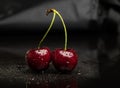 Two juicy fresh wet cherries Royalty Free Stock Photo