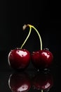 Two juicy fresh wet cherries Royalty Free Stock Photo