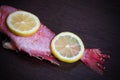 Two juicy lemon slices lie on fresh red fish. The fish is called sea bass. Royalty Free Stock Photo