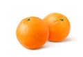 Two juicy Oranges fruit Royalty Free Stock Photo