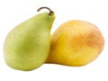 Two juicy pears closeup on white isolated background Royalty Free Stock Photo