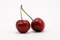 Two juicy ruby red cherries Royalty Free Stock Photo