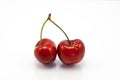 Two juicy ruby red cherries Royalty Free Stock Photo
