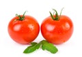 Two juicy tomatoes on white Royalty Free Stock Photo